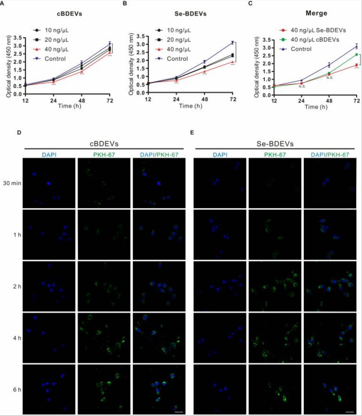 Effect of extracellular vesicles derived from selenium-enriched broccoli on PANC-1.